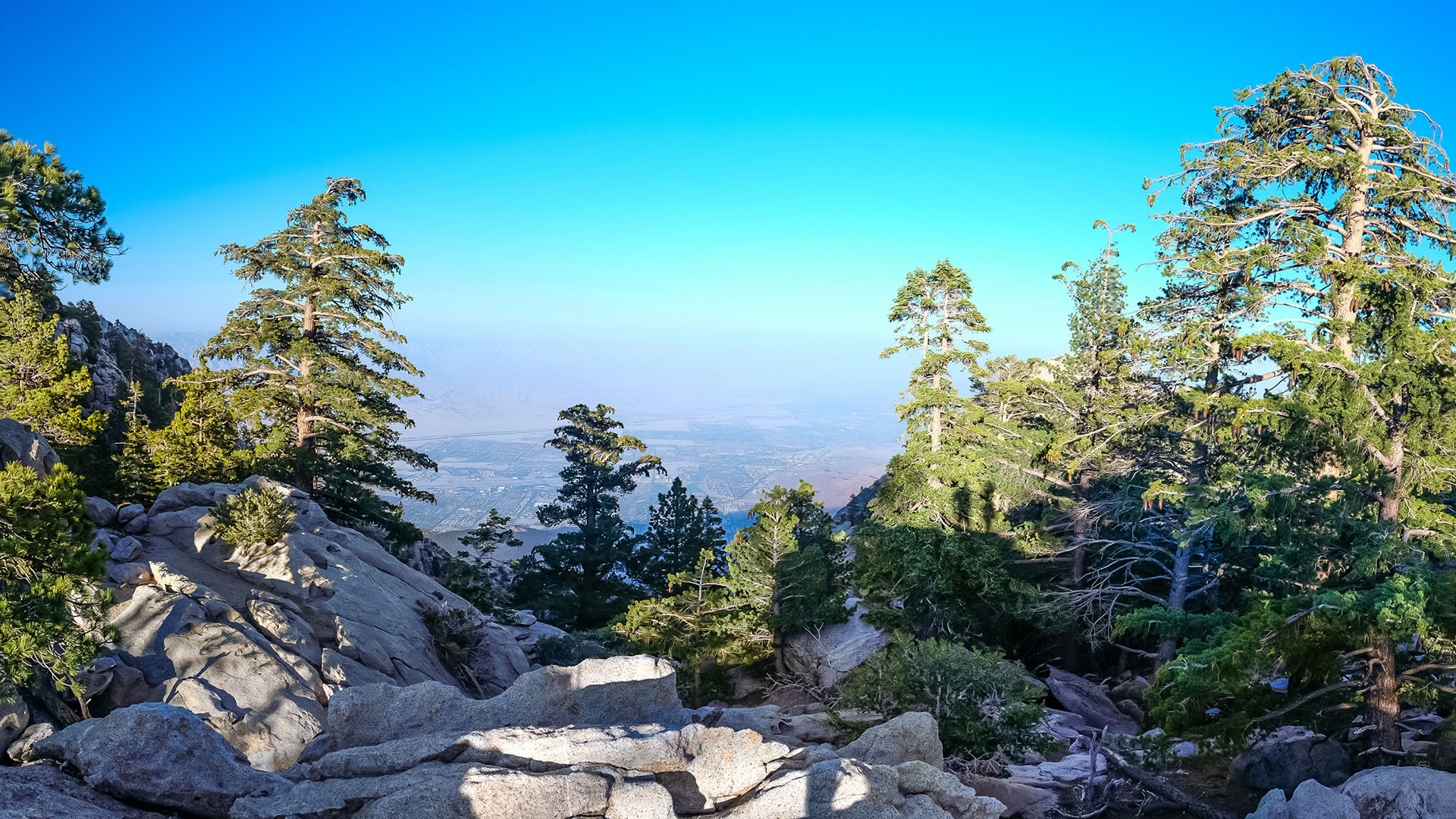 palm springs aerial tramway view