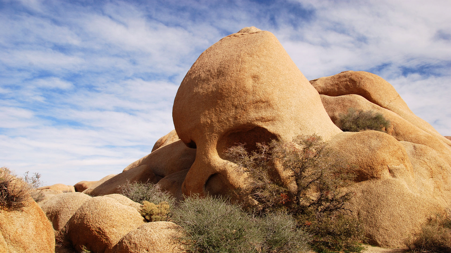 skull rock at joshua tree national park