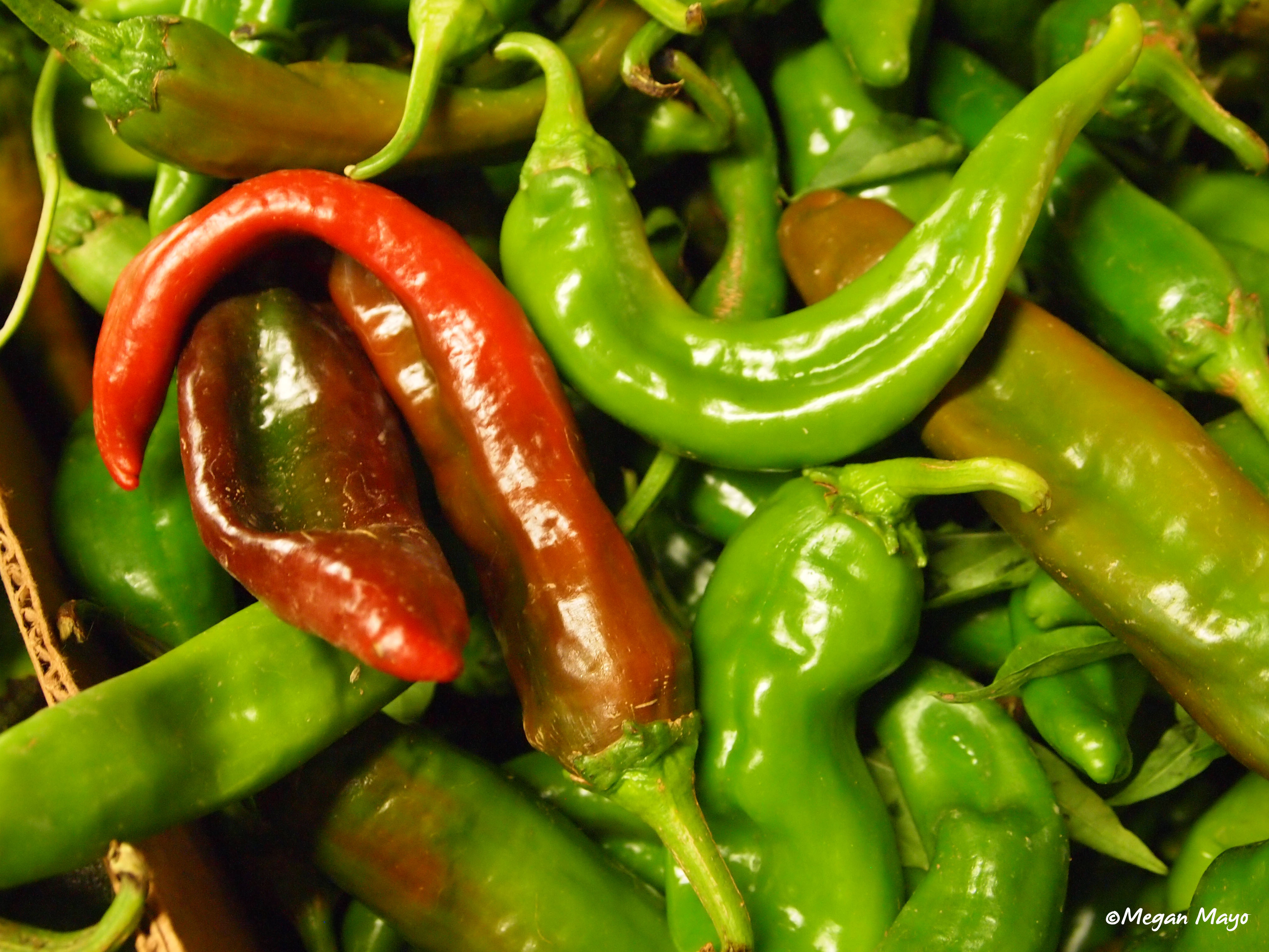 ©Megan Mayo: New Mexico Chile