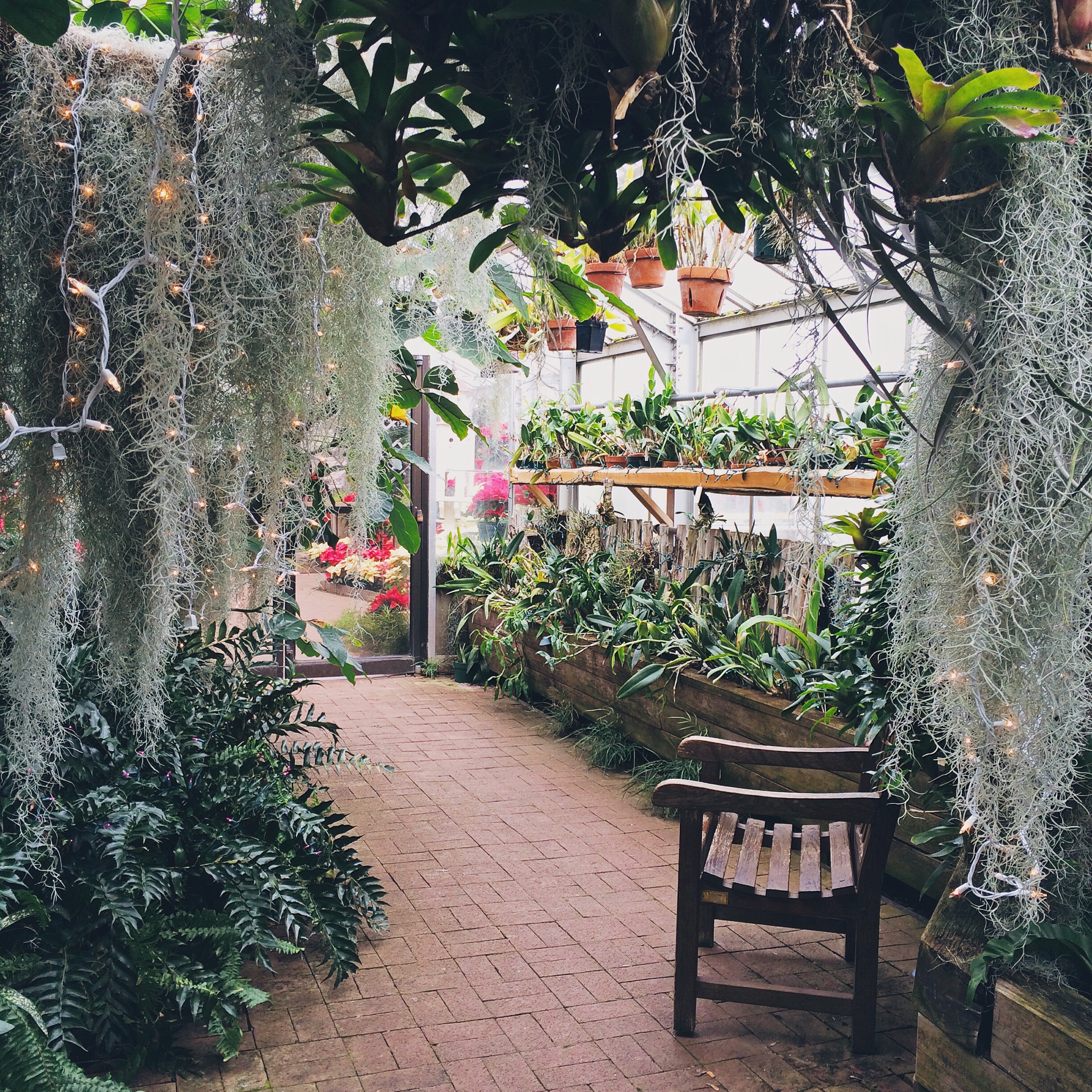 Rochester Zen Garden