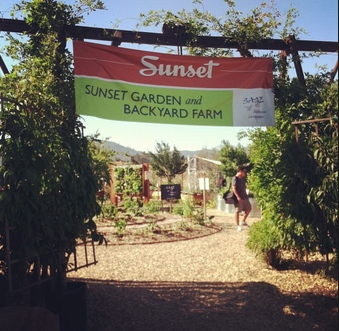 savor garden