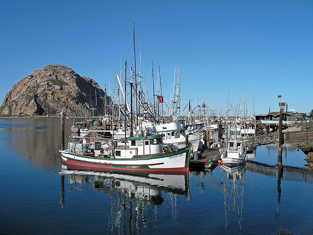 Morro Bay Fisherman, Mark Tognazzini
