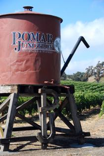 Wine Train Excursions