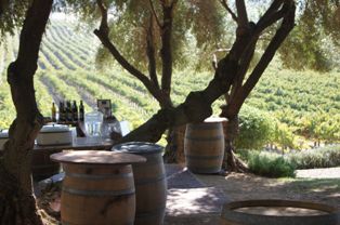 still water vineyards