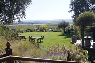 still water vineyards