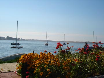 Baywood Park - Fall Colors at Pier