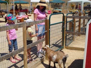 Jack Creek Farms - Kids about to Play with Kids