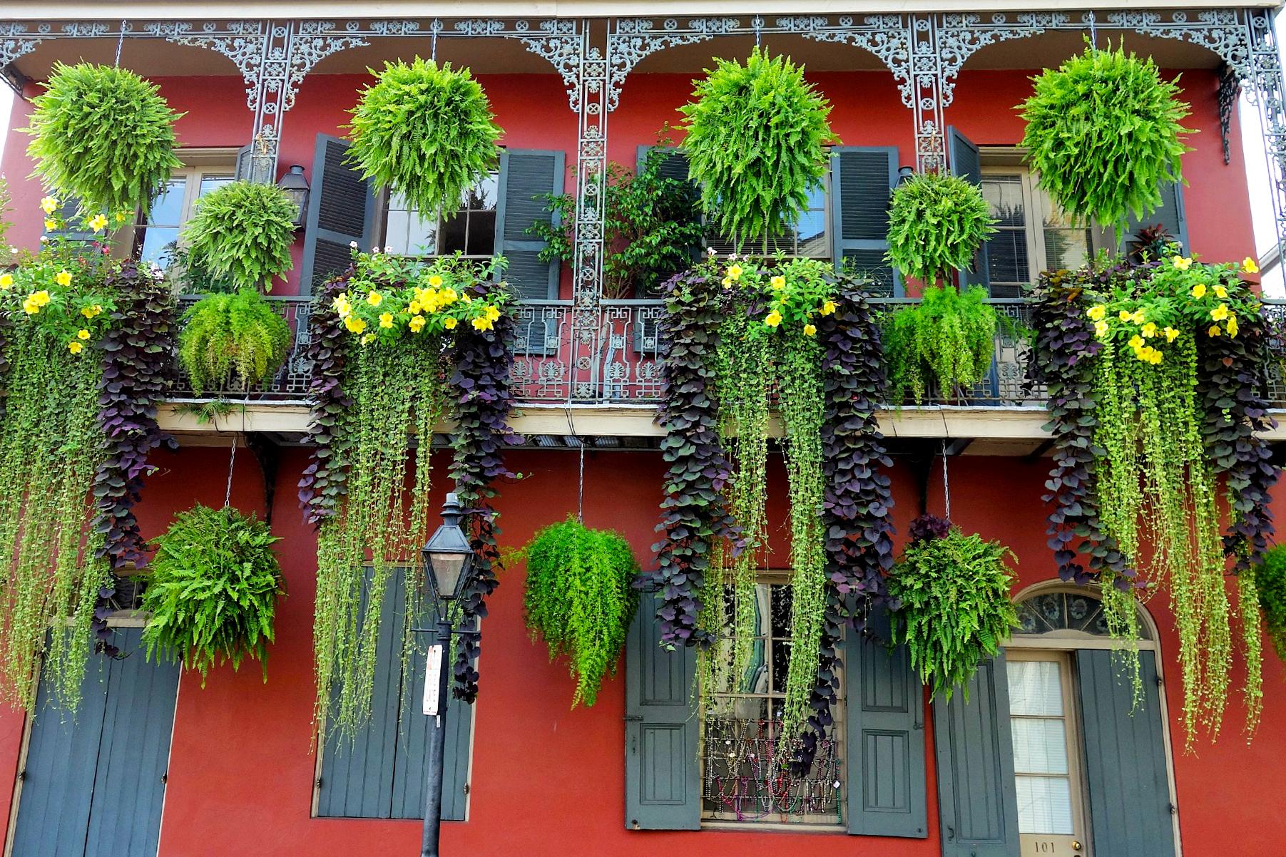 French Quarter The Vieux Carre New