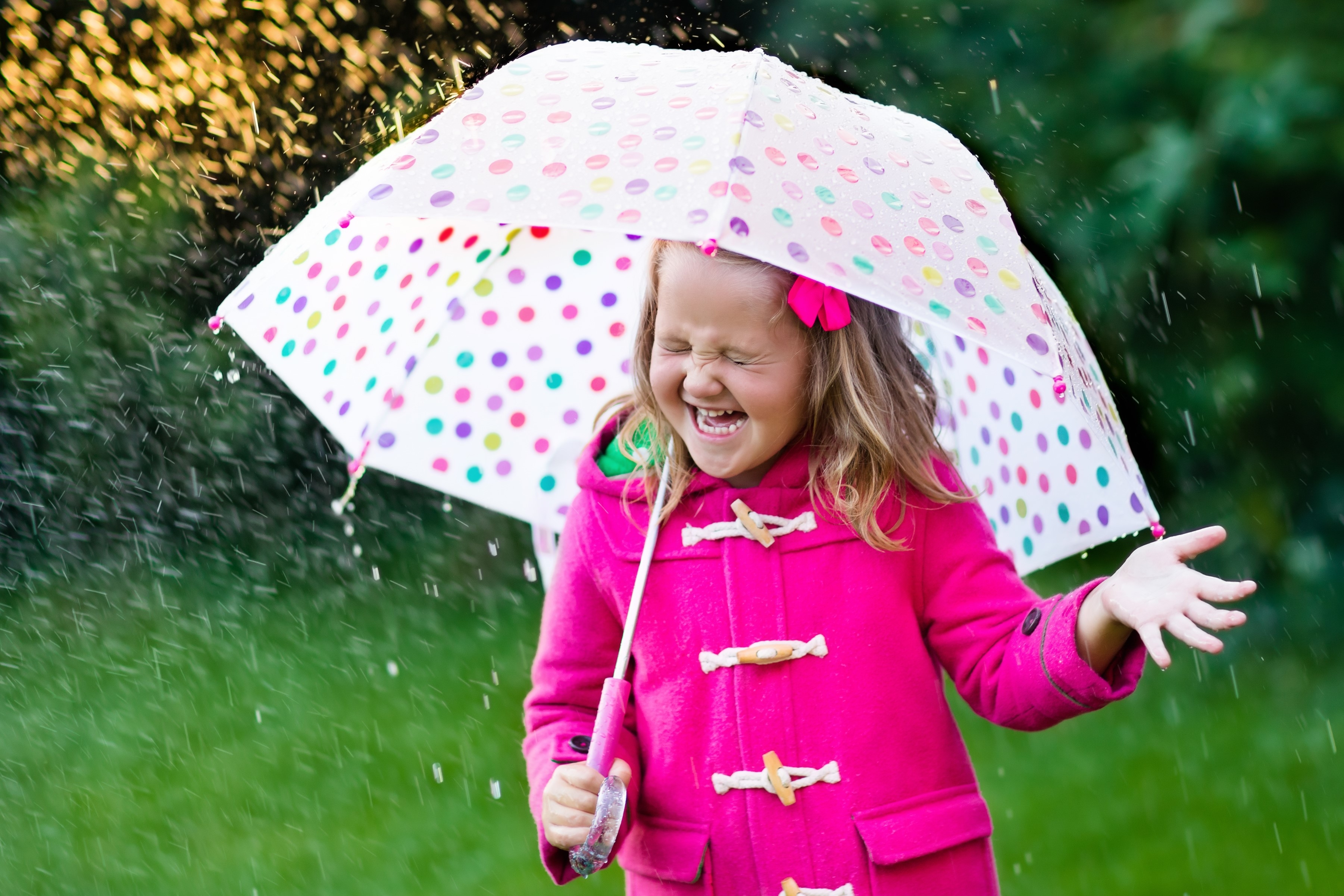 Rainy Day Blog - Rainy Day