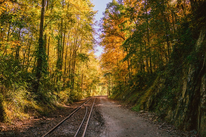 The York County Heritage Rail Trail is a great place for a peaceful fall walk. But if you stay past nightfall, you might just run into the spirit of a young train jumper.