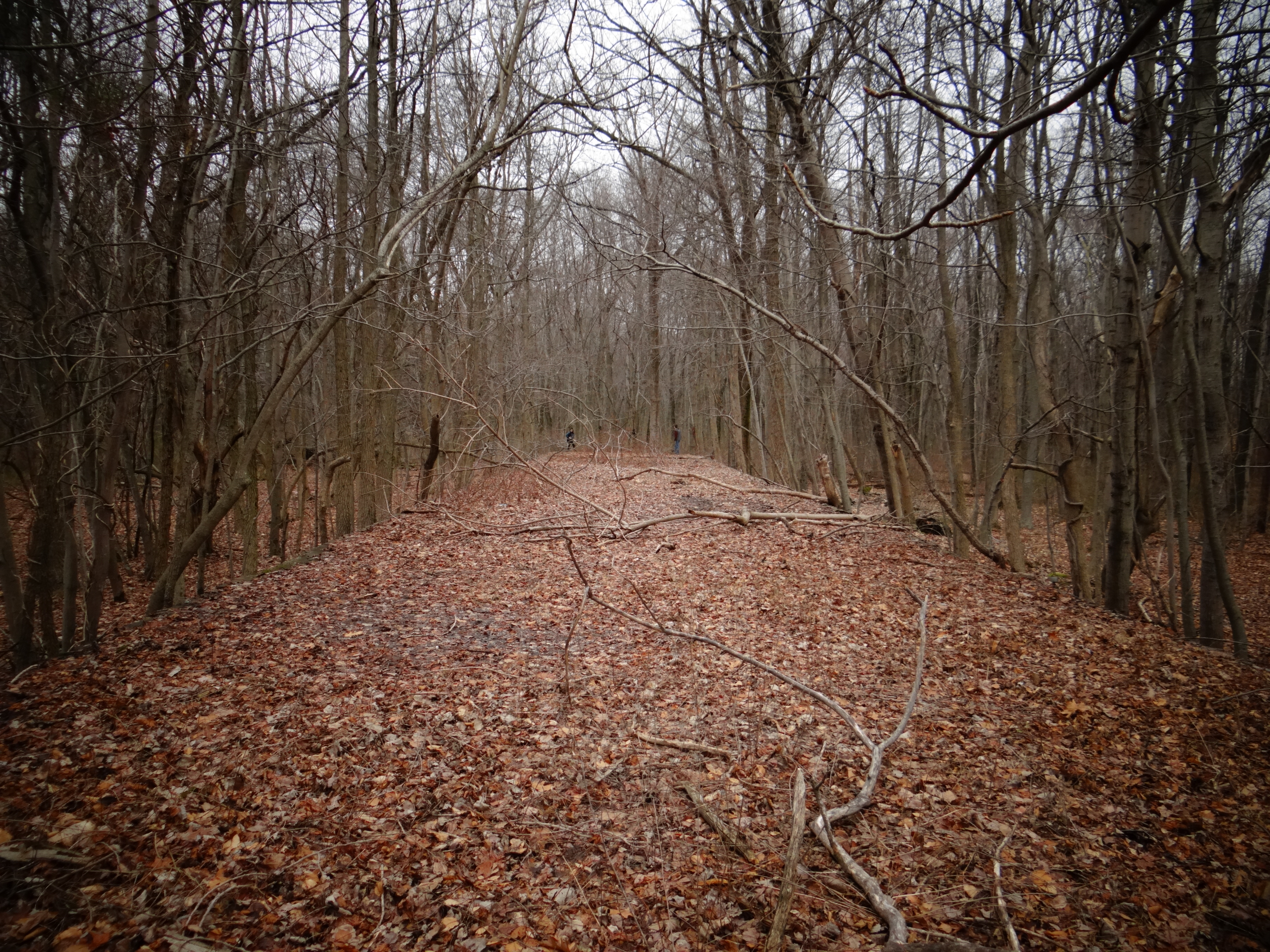 Delhaas Woods Ruins Foundation