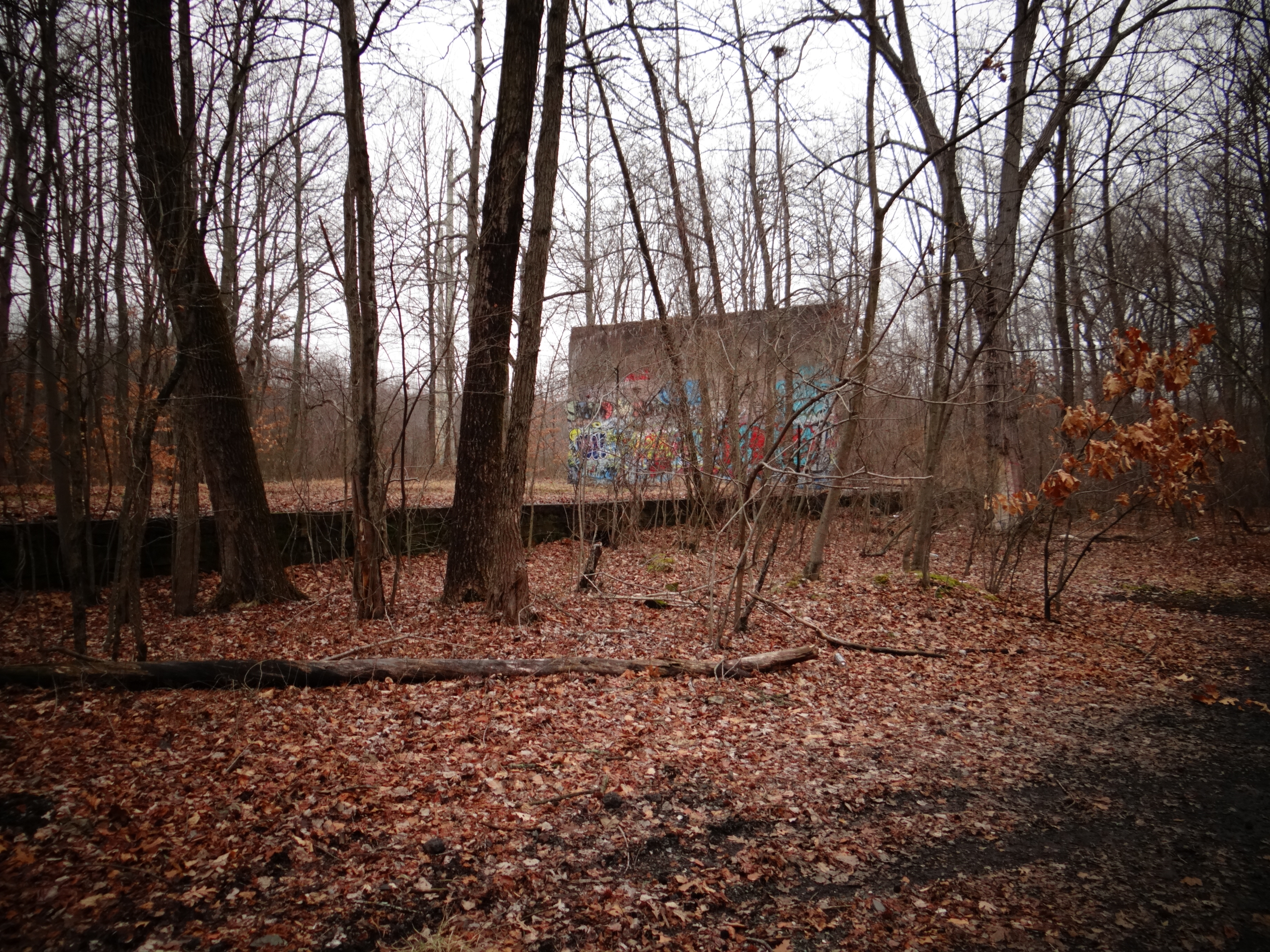 Delhaas Woods Ruins Foundation w/ Graffiti