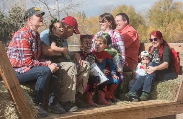 Halloween Fort Collins