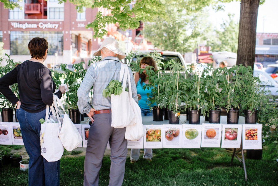 Culture Guide to Salt Lake