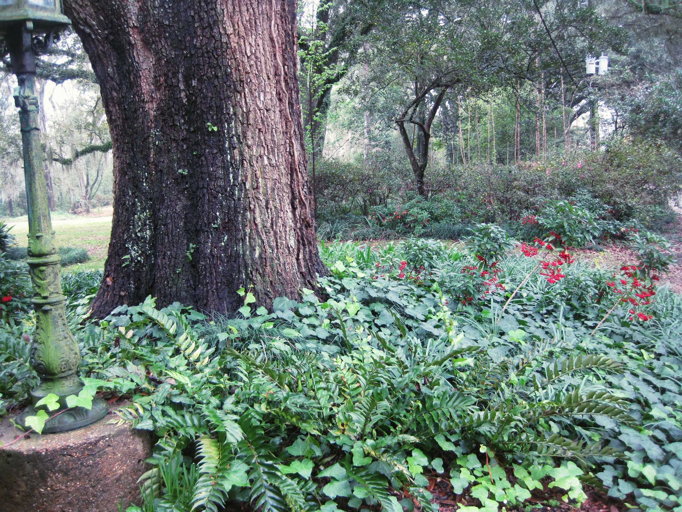 Burden Center Gardens