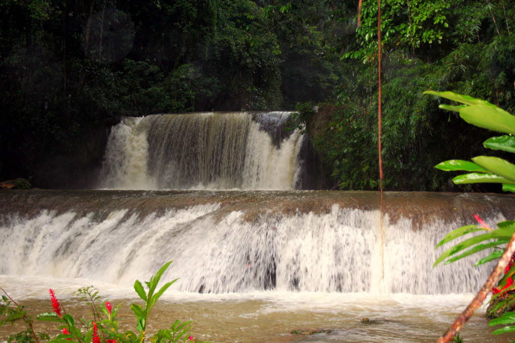 photo of a water fall