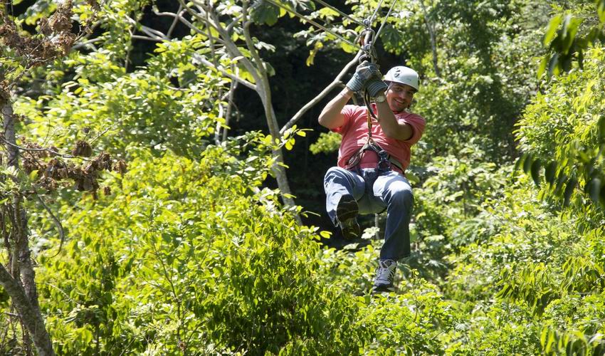 Reggae Sumfest Activities- Canopy Zipline Tour