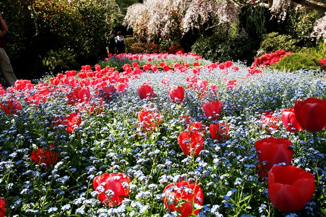 Gardens And Great Views In San Mateo County Silicon Valley