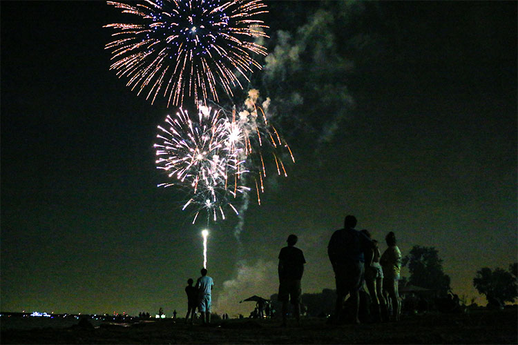 Firework Spectators