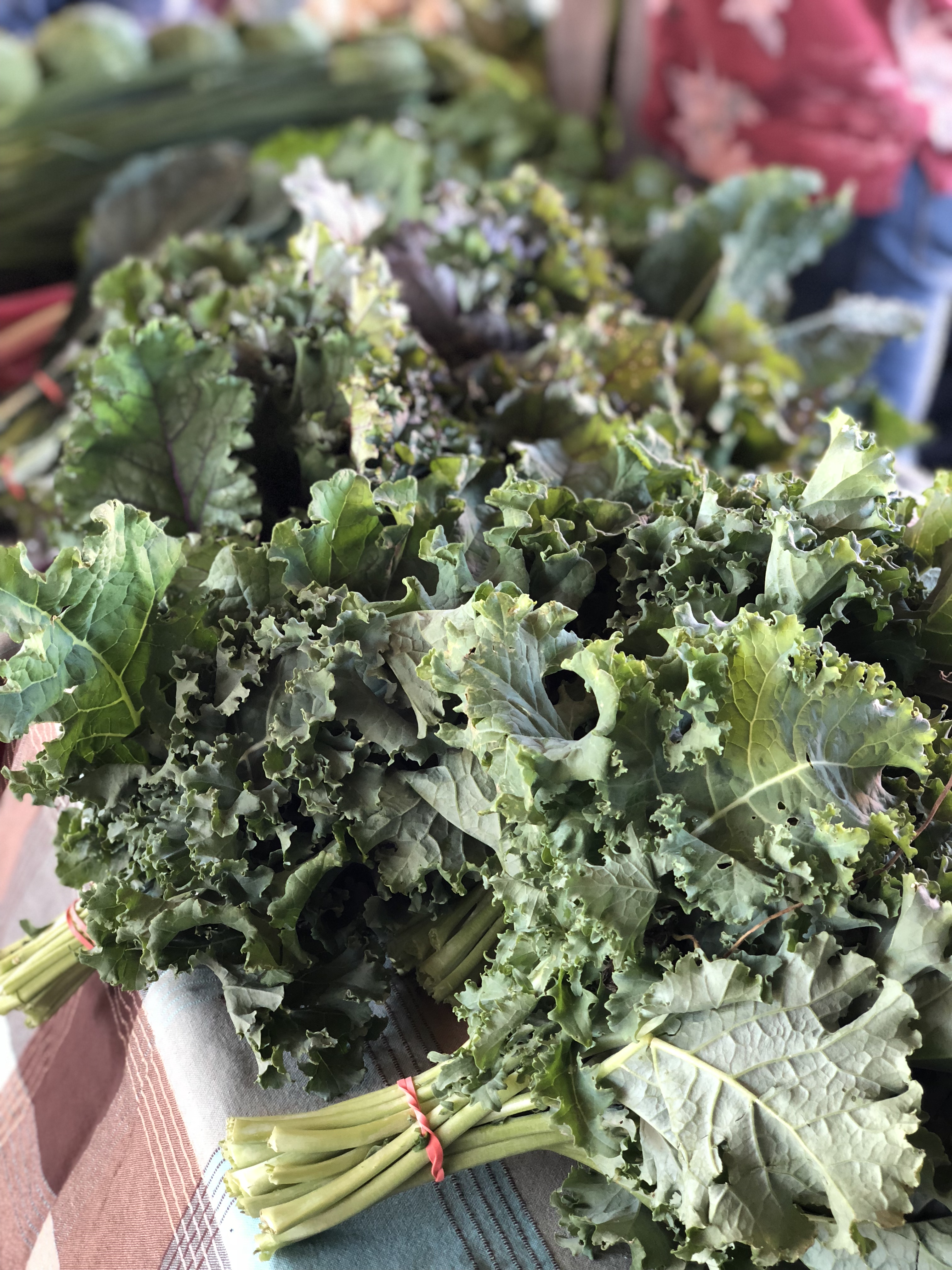 canandaigua-farmers-market-kale