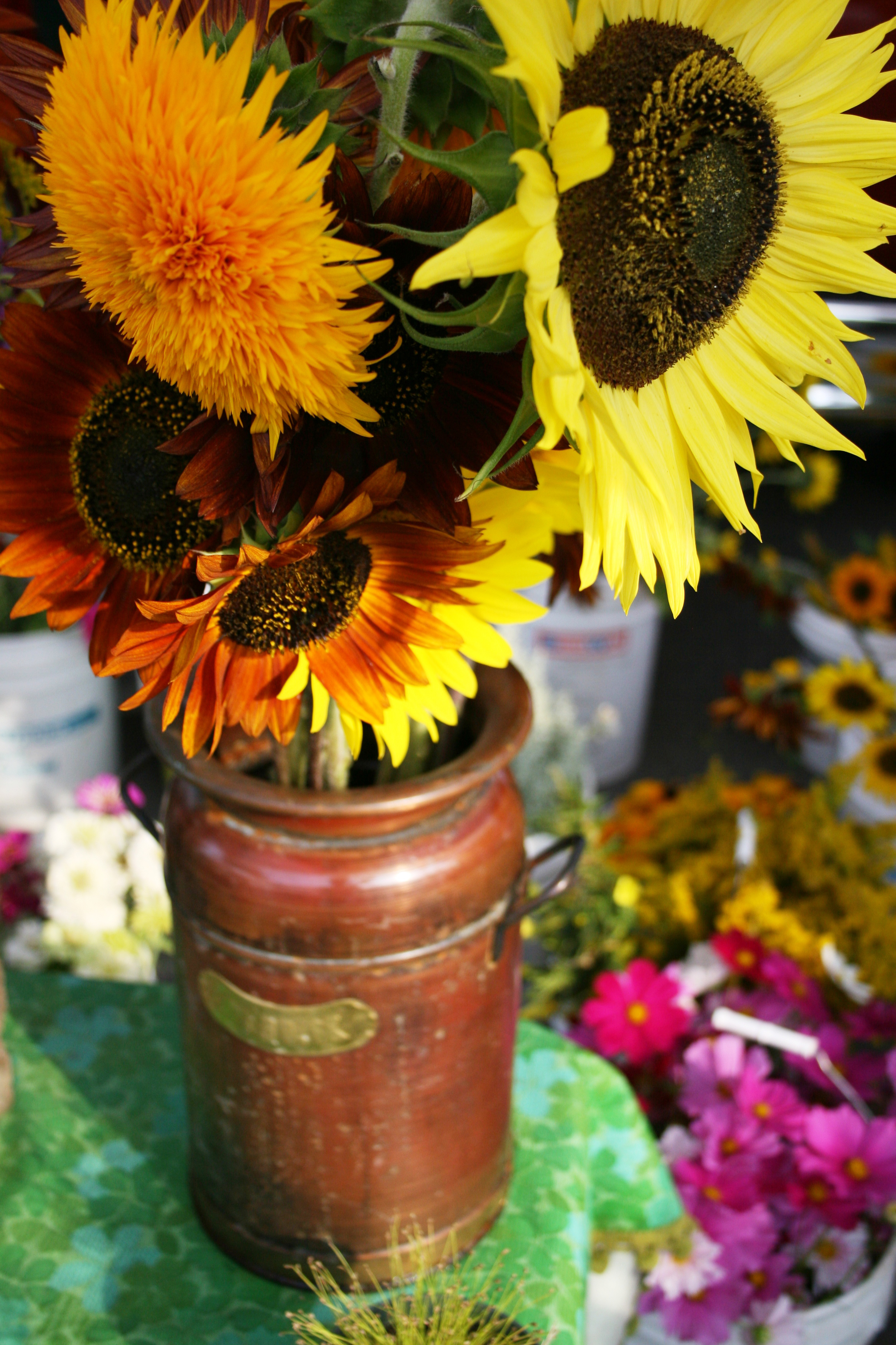 farmers-market-flowers