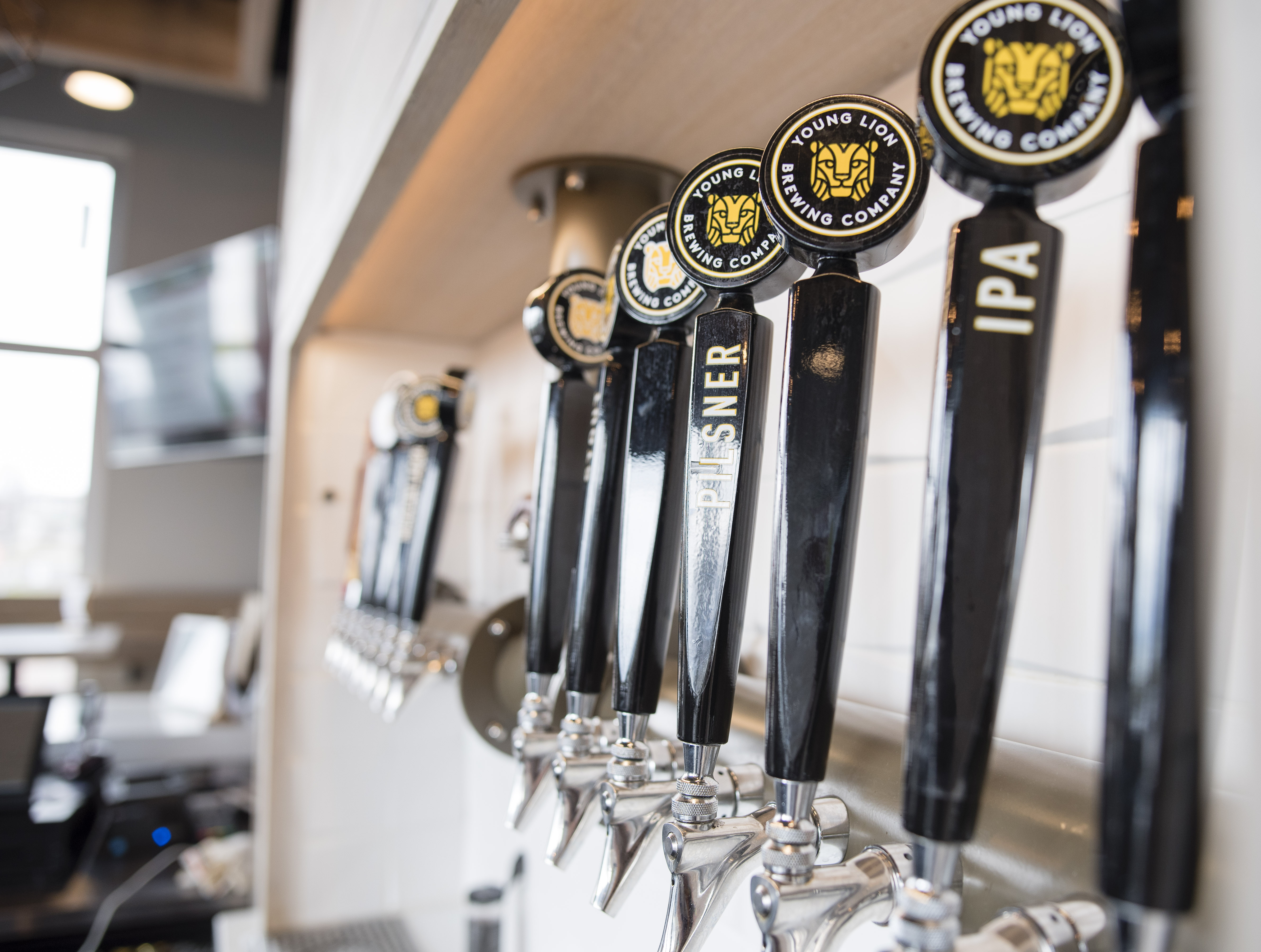 young-lion-brewery-canandaigua-tap-handles