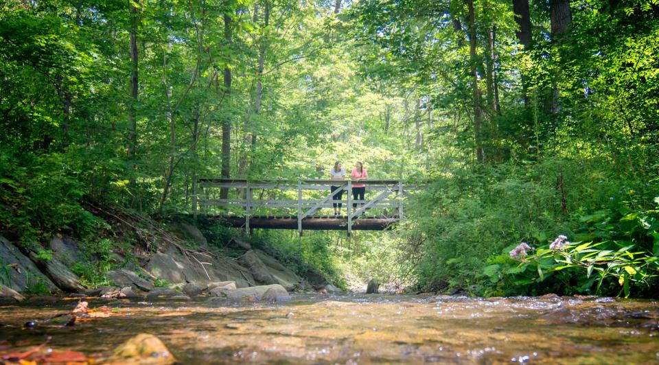 Finger Lakes Trail courtesy of Stu Gallagher