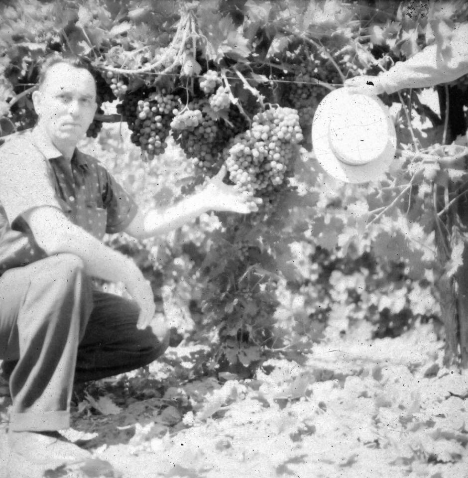 Dr. Konstantin Frank