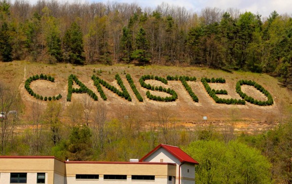 Canisteo Living Sign