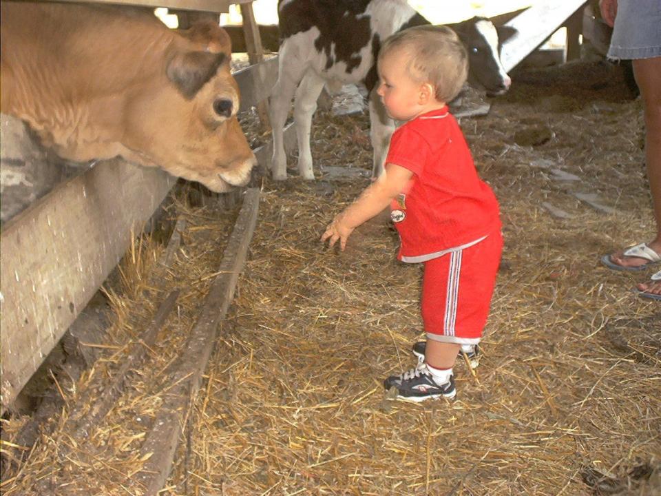 Steuben County Fair