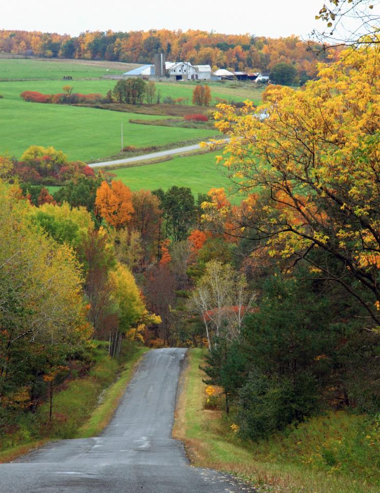 Fall Foliage courtesy of Kathy Wesserling