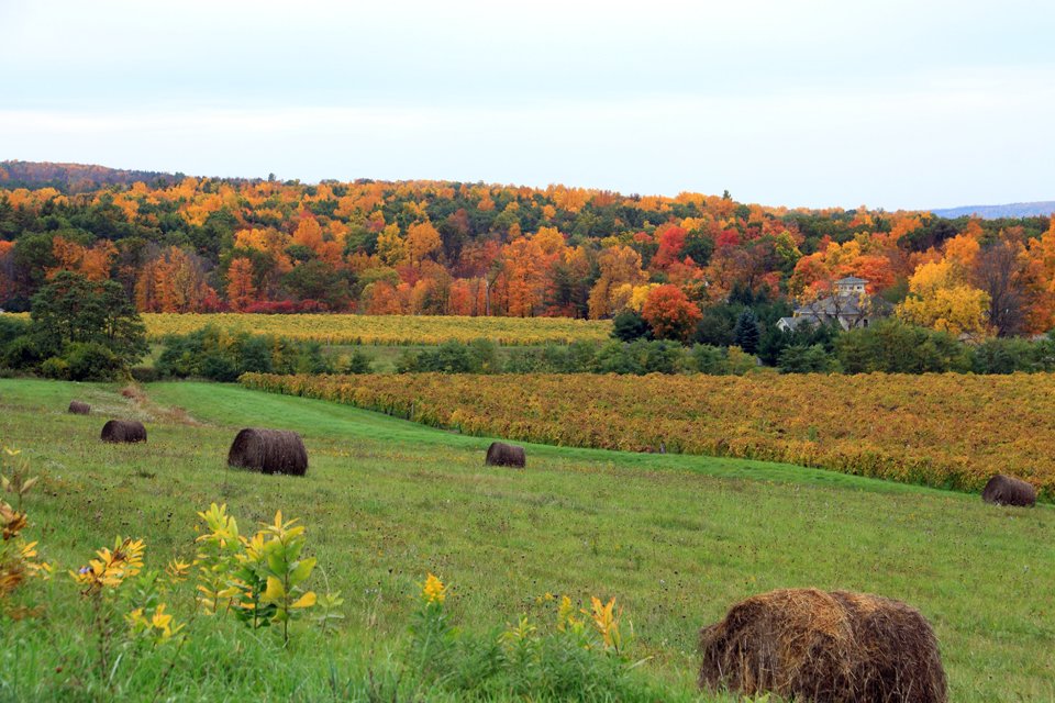 Fall Foliage in Corning and the Southern Finger Lakes by Kathy Wesserling