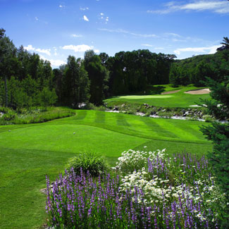 Golf Colorado