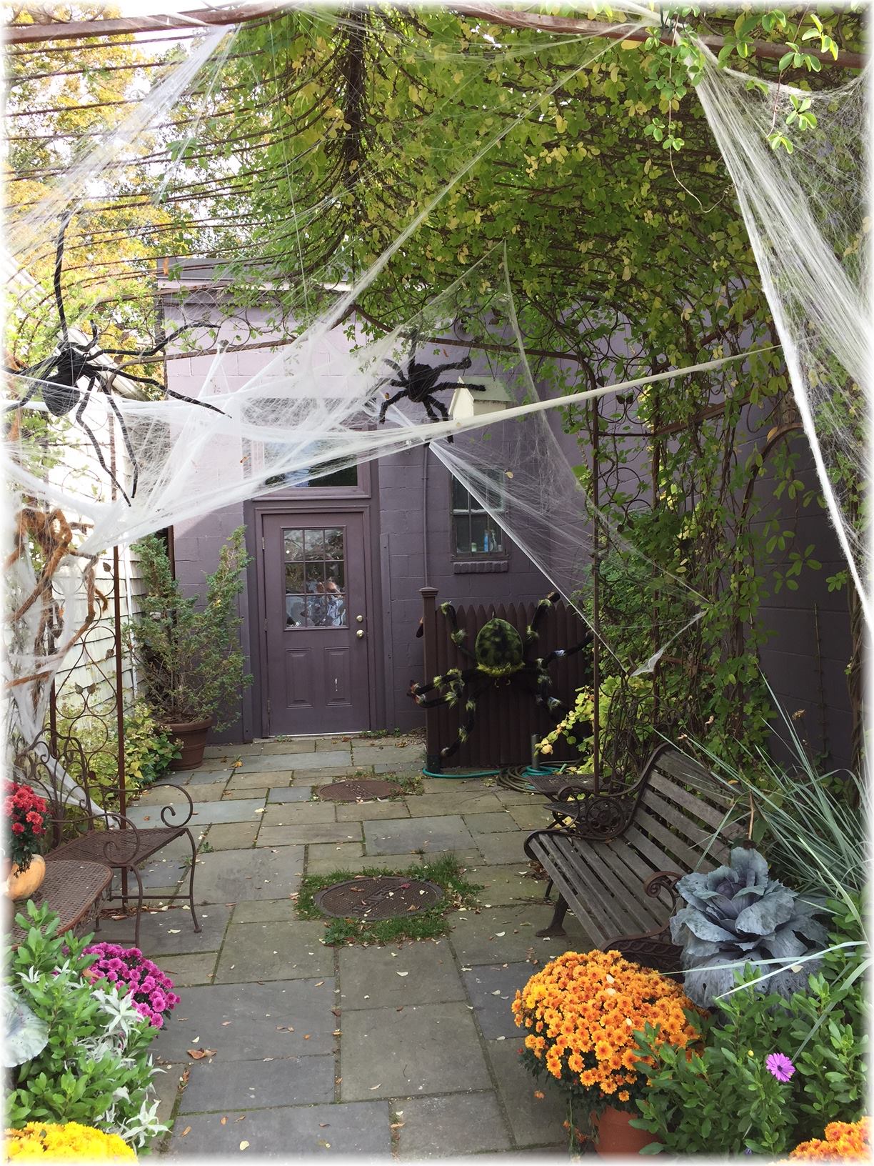 14633453_1162947577106679_5778198621842763949_o