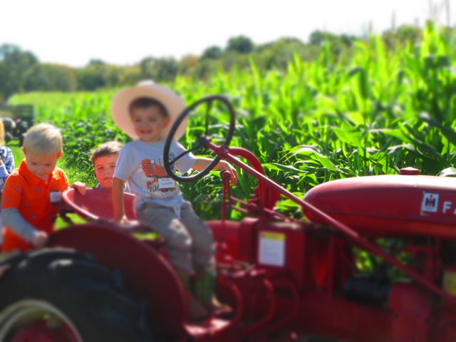 static1.squarespace.com