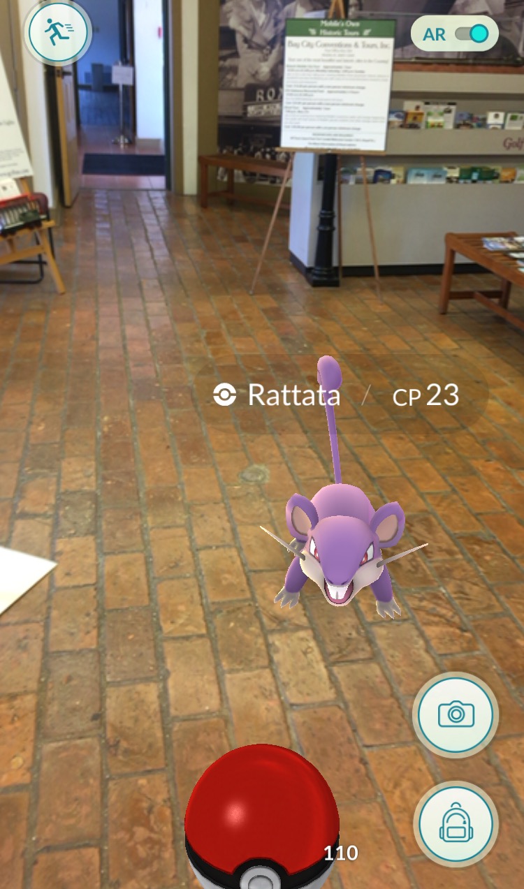 Pokemon at the Welcome Center