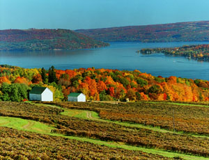 Fall in the Finger Lakes Fall in the Finger Lakes