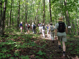 Hiking Hiking