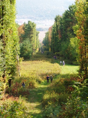 Finger Lakes Trail - photo by Jim Connors