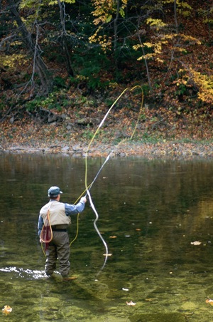 fly fishing
