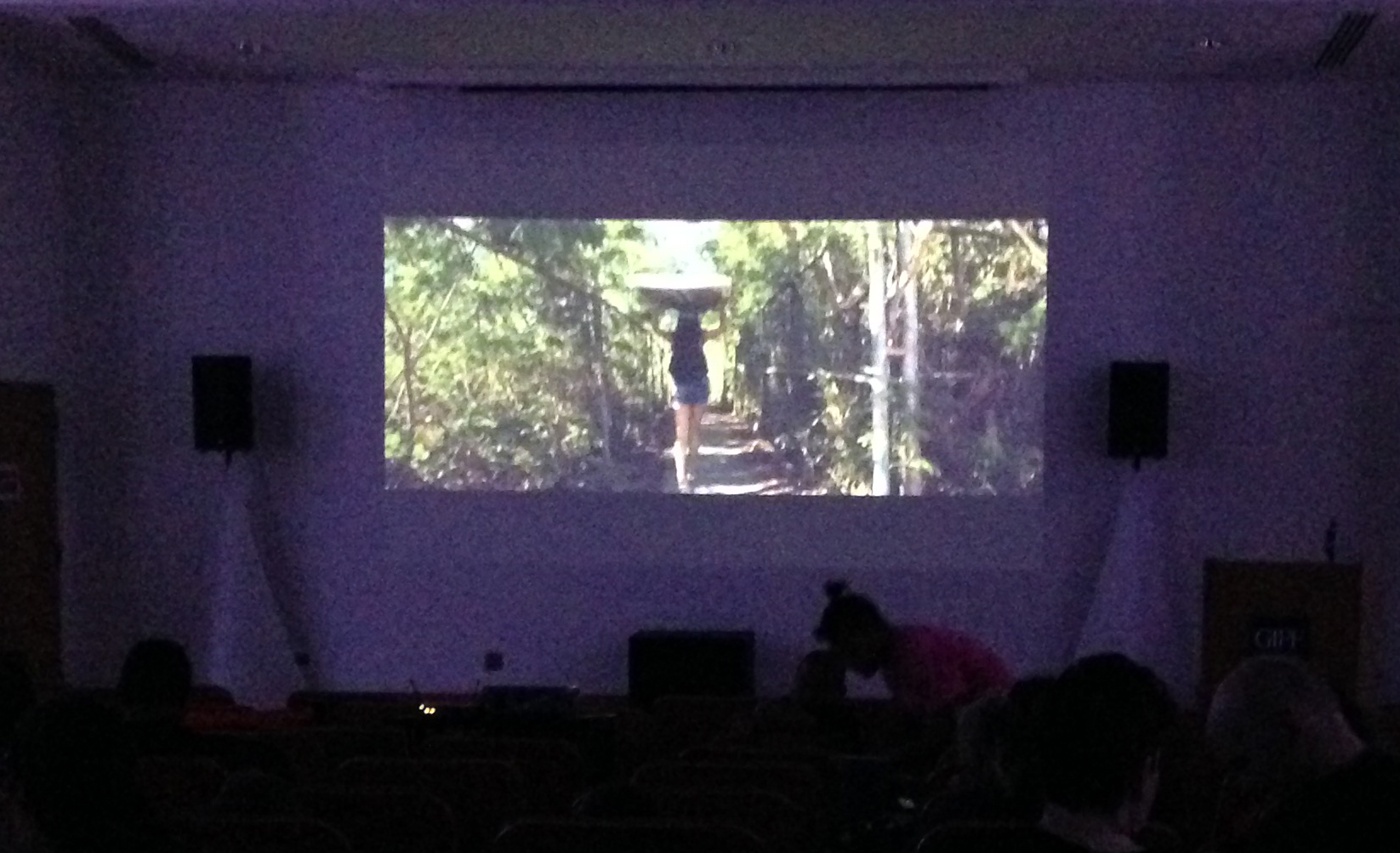 UOG Film Festival People watch one of the films shown at the UOG Film Festival