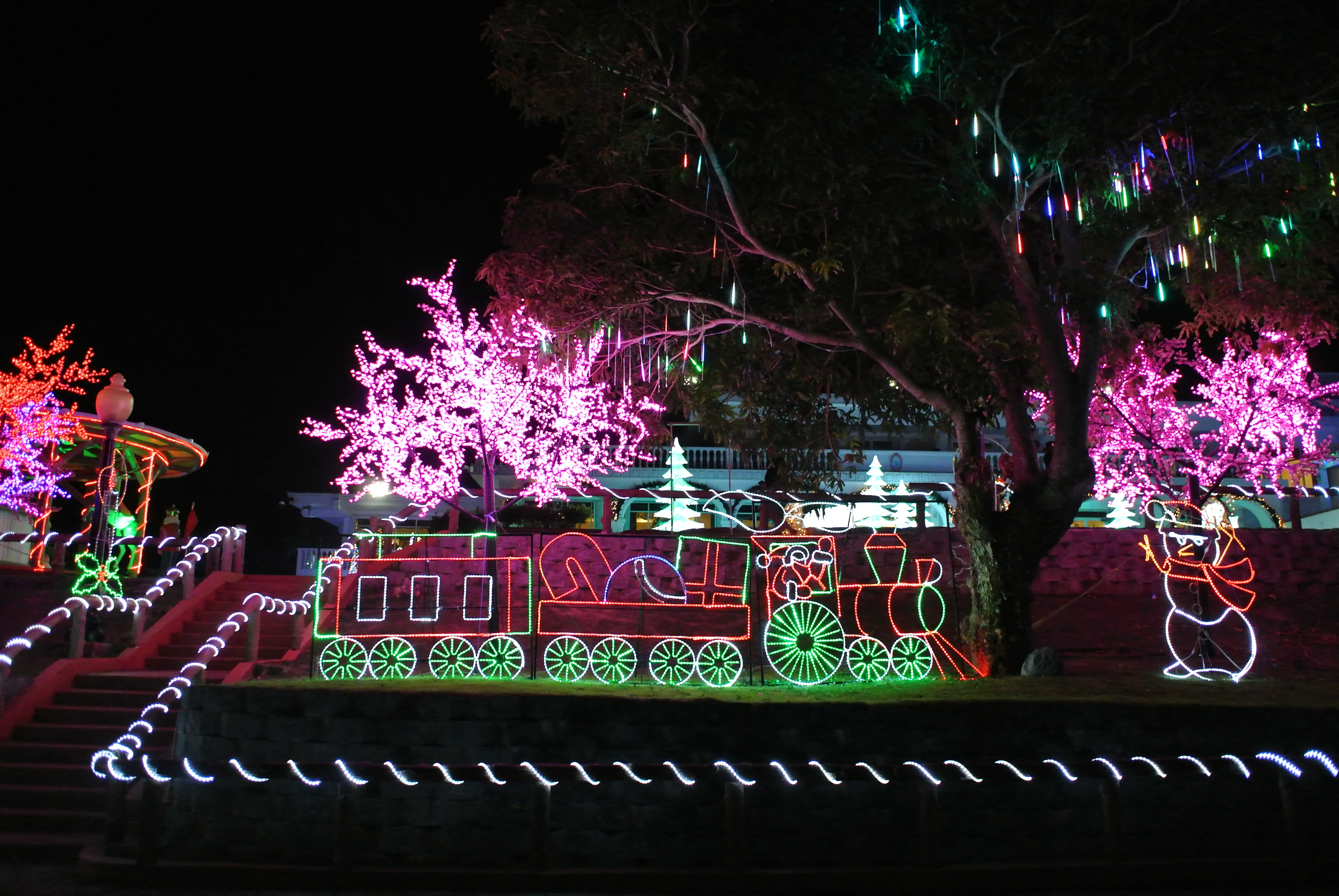 Peace Festival