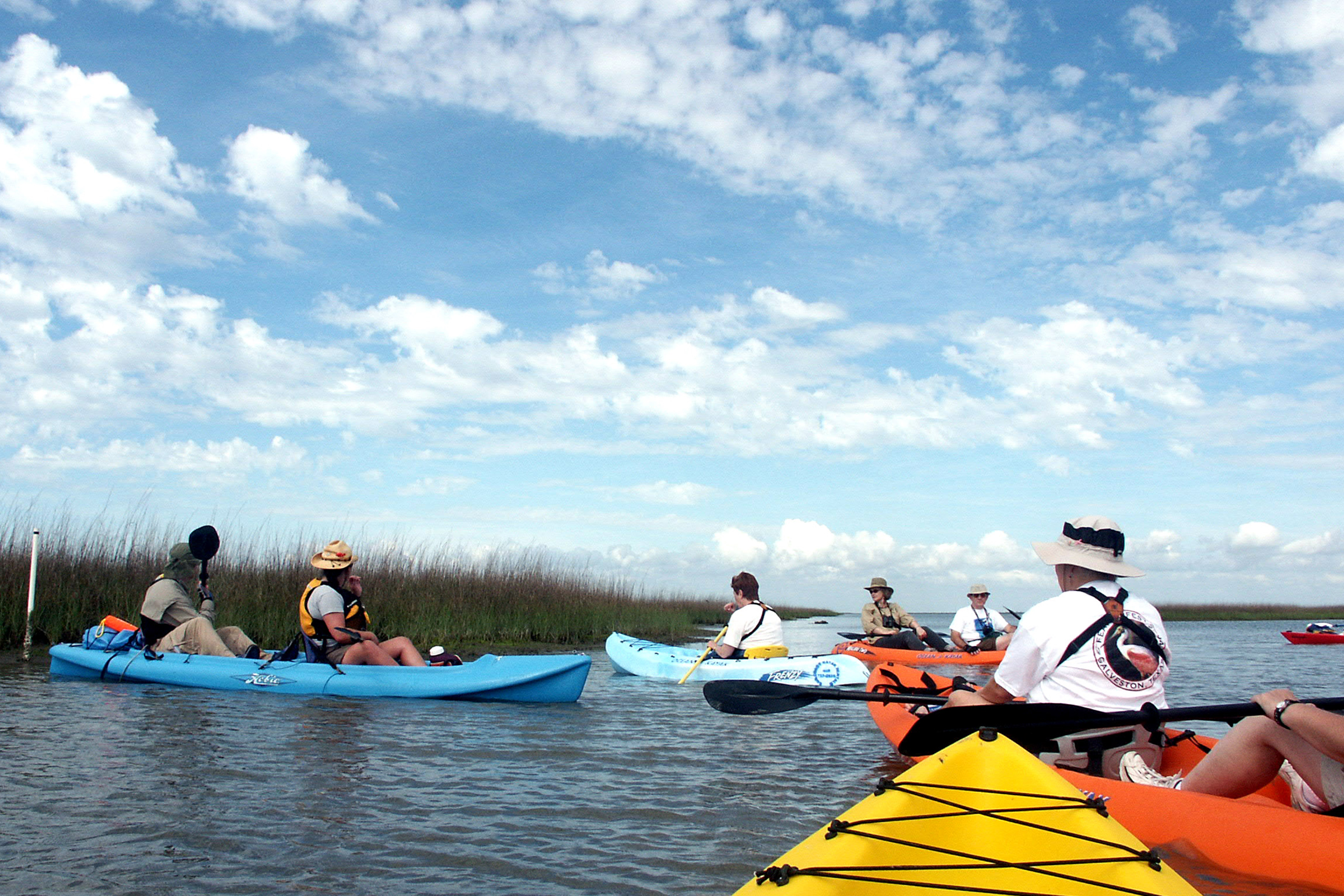 Paddle Up!