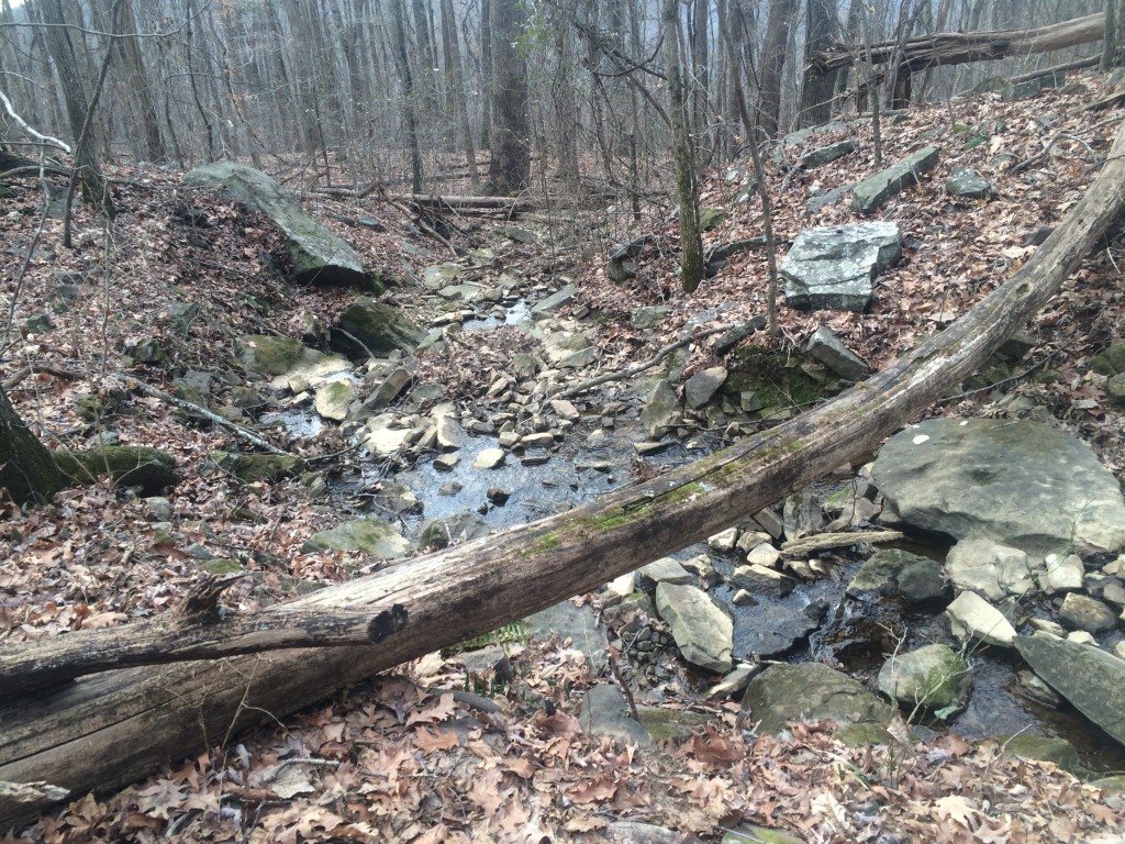 KimHolmes_LTNA_Photo1_BlevinsGap