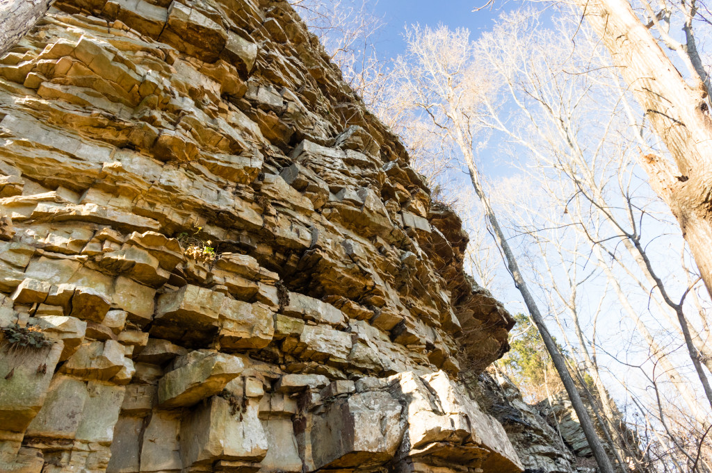 Mountain Mist Trail, Monte Sano State Park