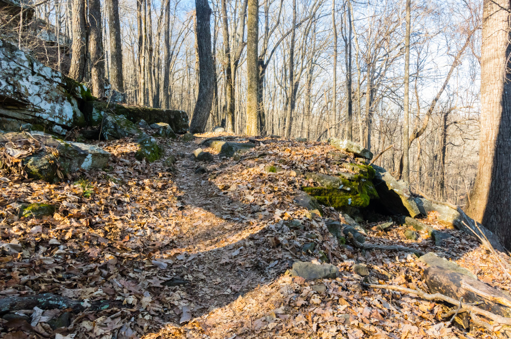 Mountain Mist Trail, Monte Sano State Park