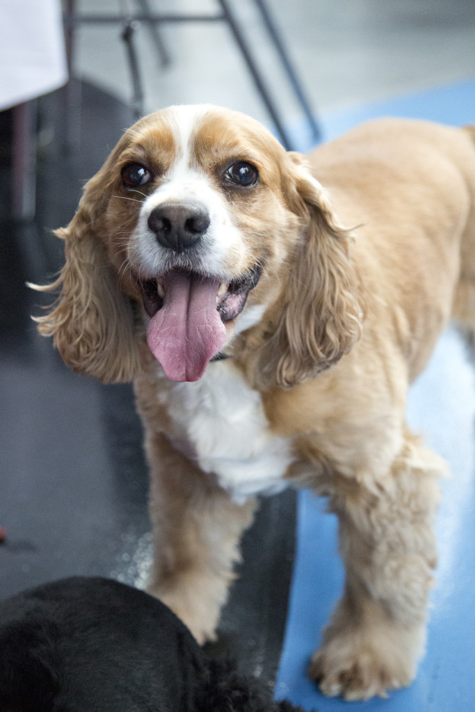 Biergarten at the U.S. Space & Rocket Center in Huntsville, Alabama via iHeartHsv.com