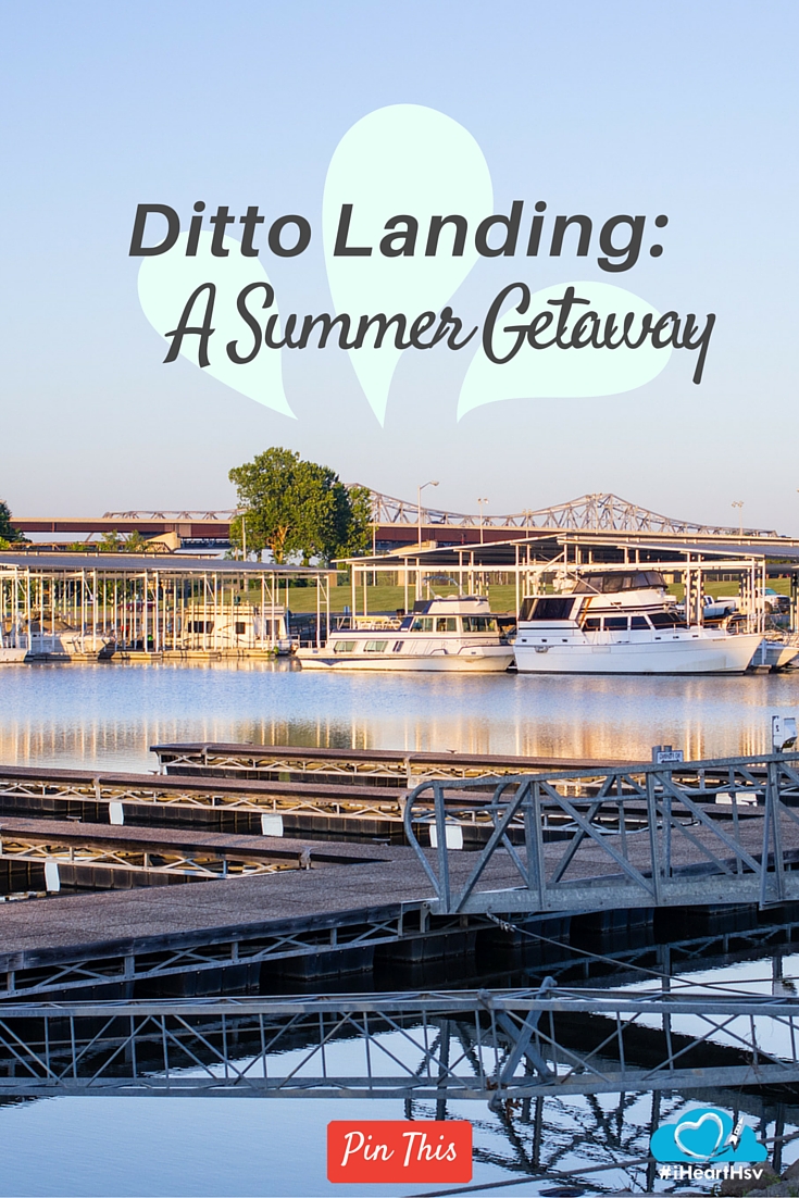 Ditto Landing PINTEREST