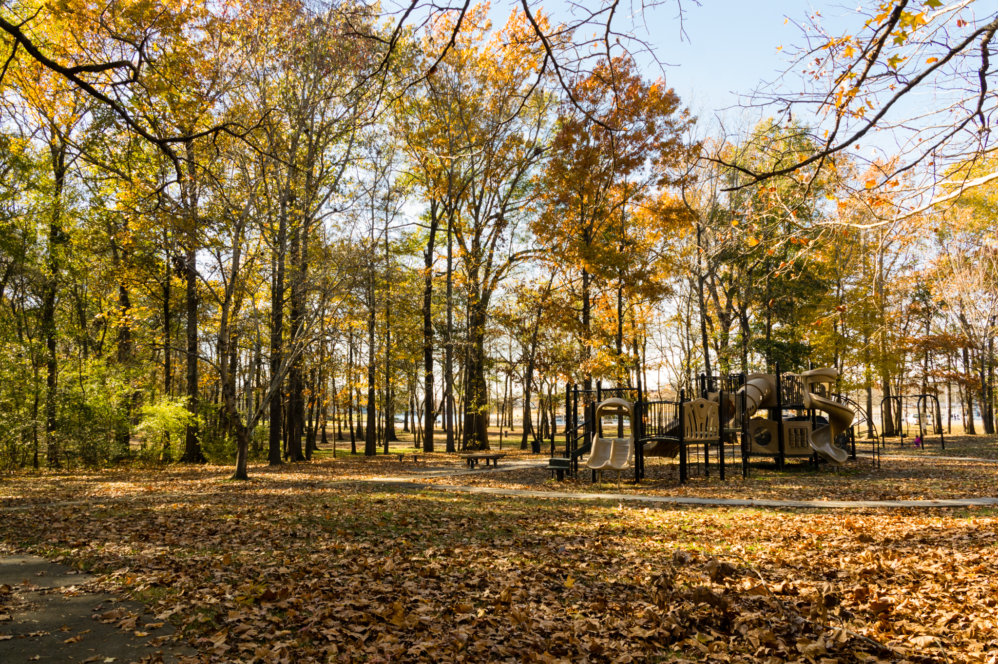 This is a photo of the RV park at Ditto Landing