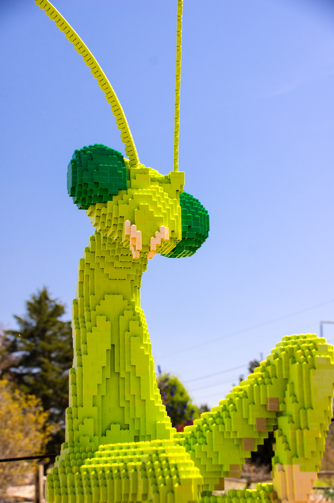 Lego To Huntsville Botanical Garden S Nature Connects